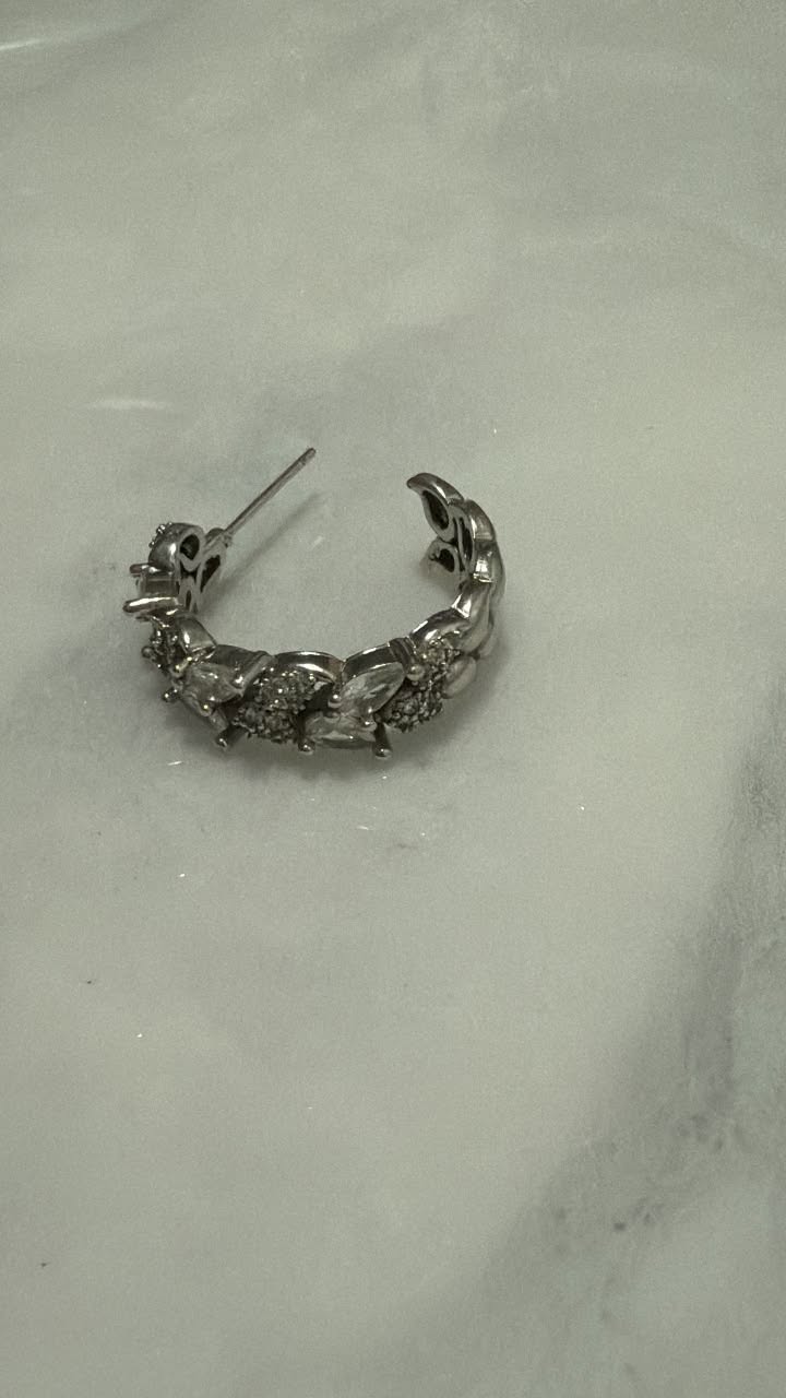 Found earring