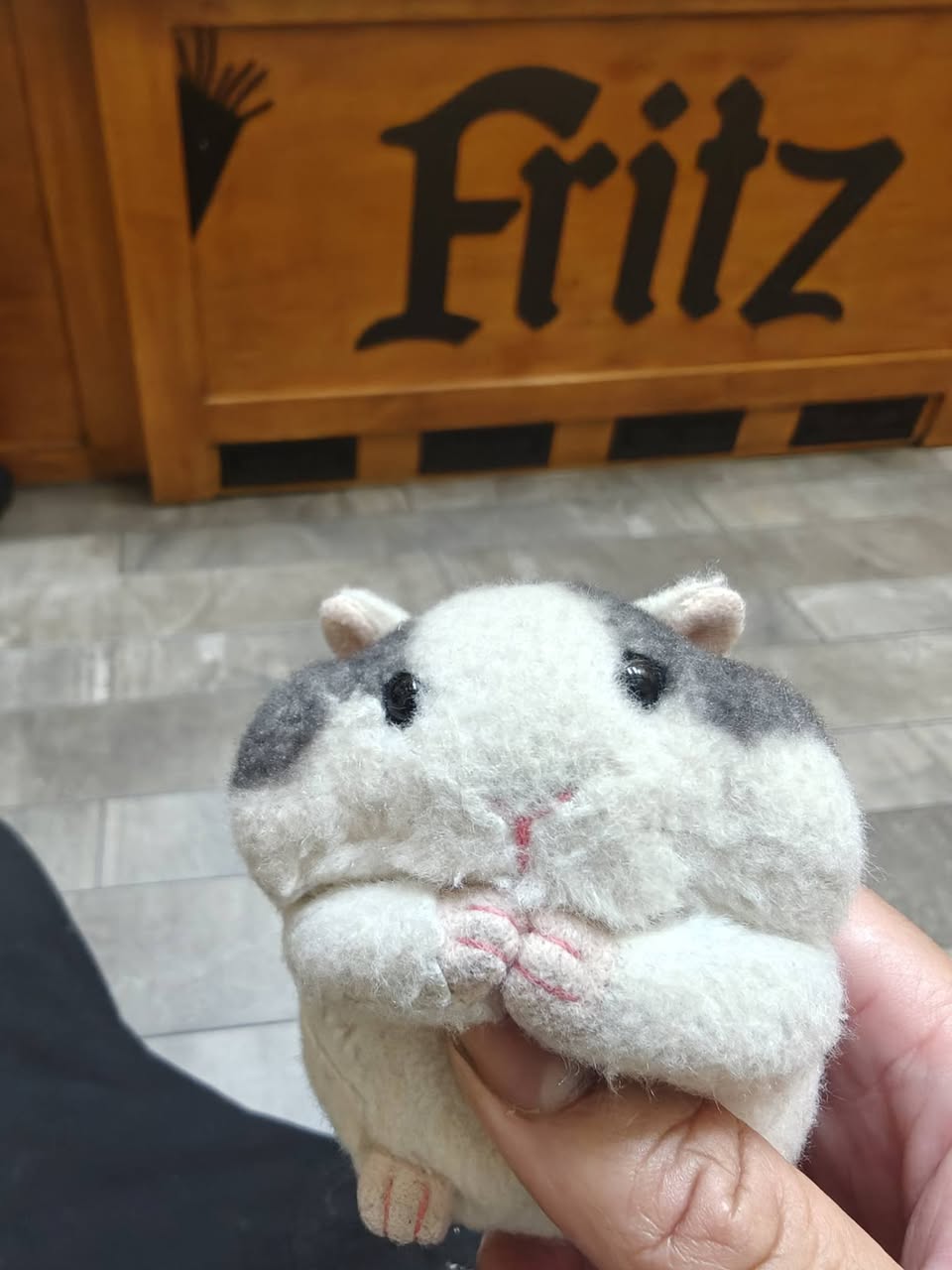 Lost Toy in Fritz European Fry House