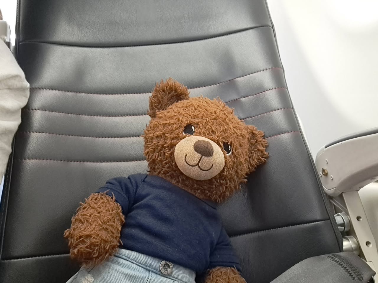Lost Toy in Montreal