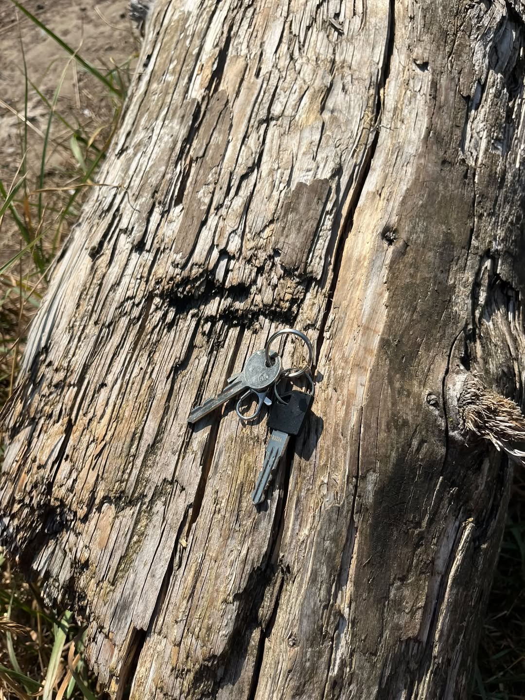 Found keys