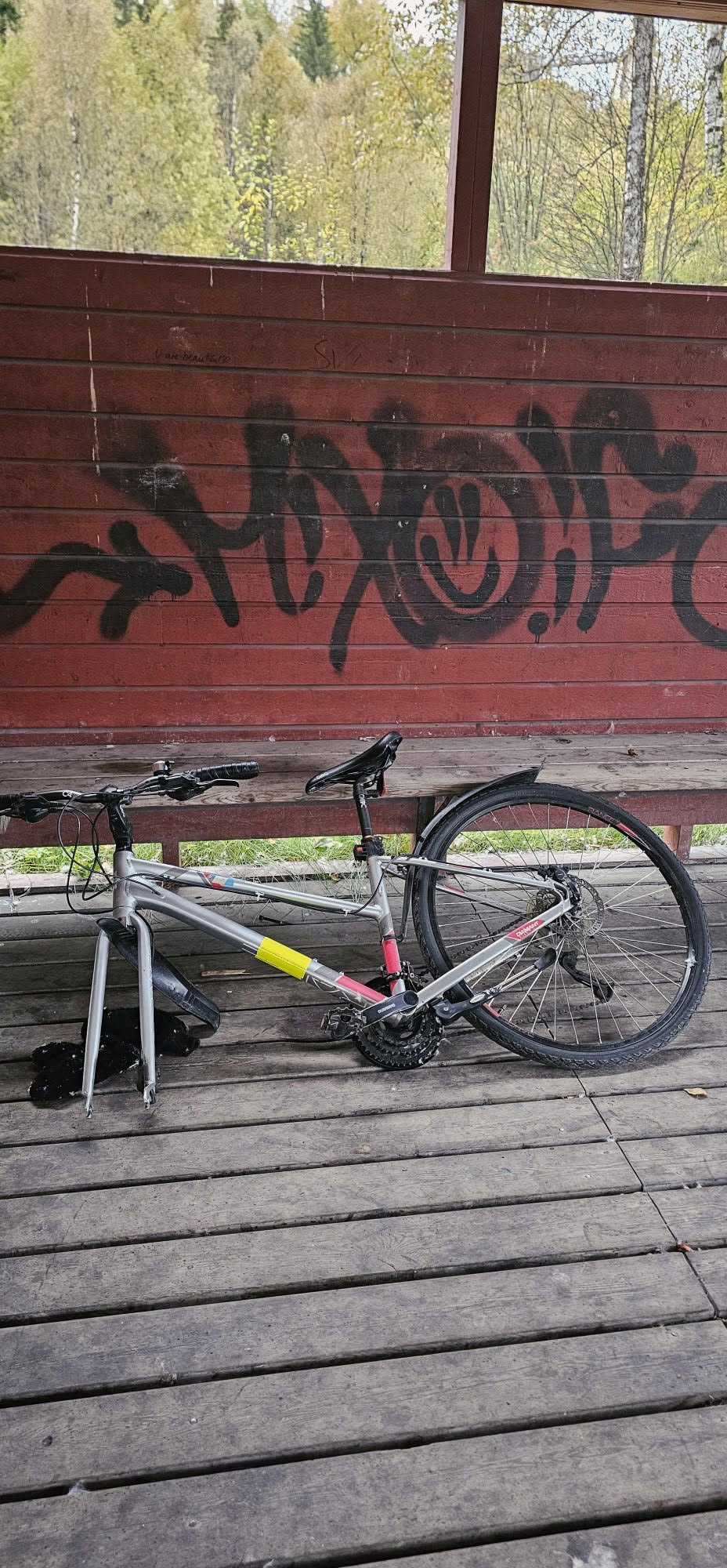 Found bike