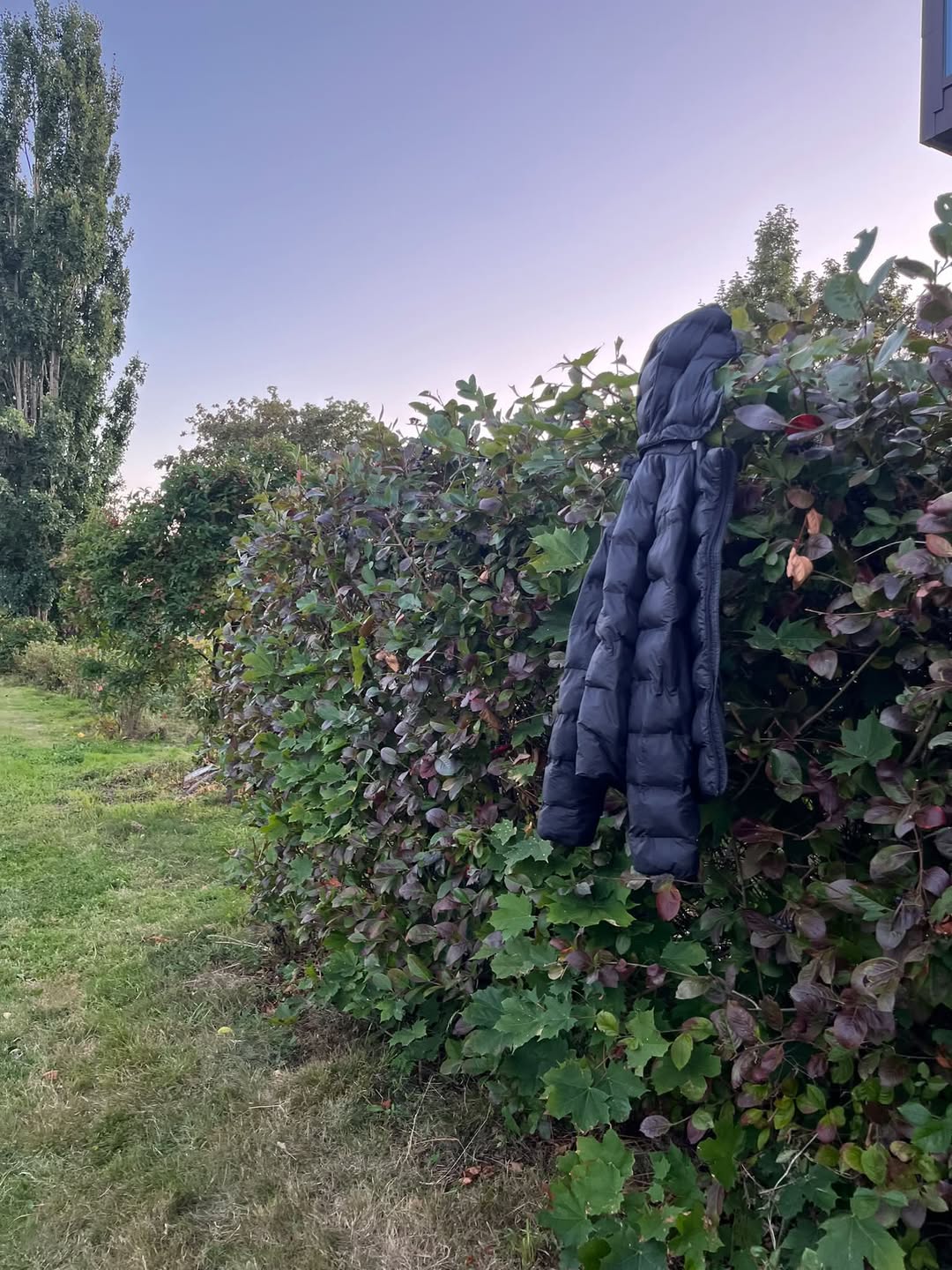Found jacket