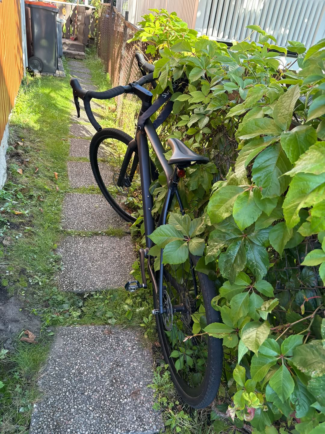 Found bike