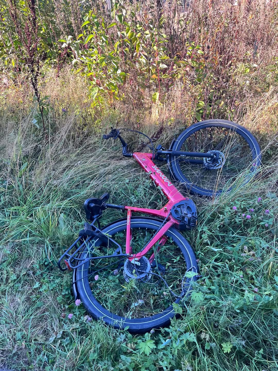 Found bike