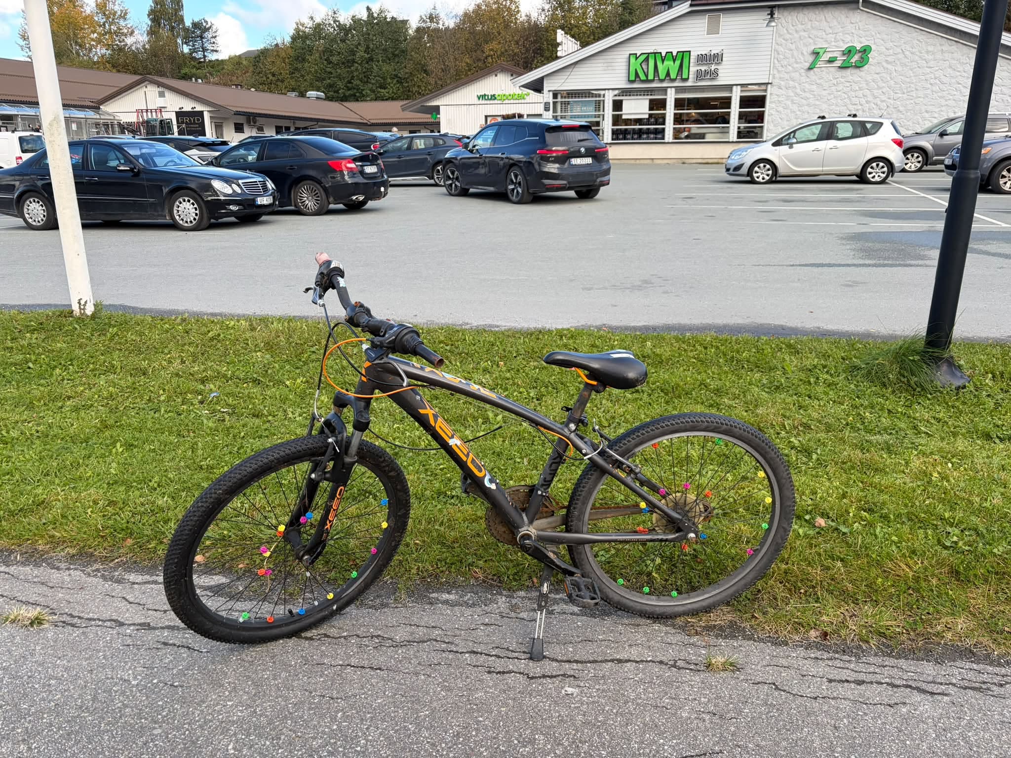 Found bike