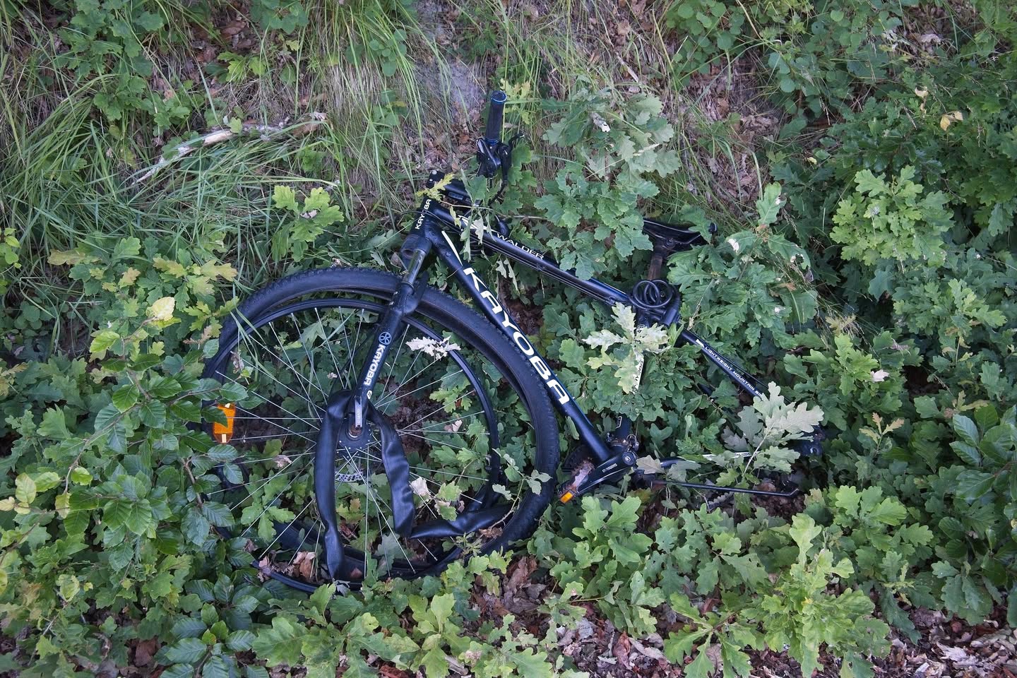 Found bike