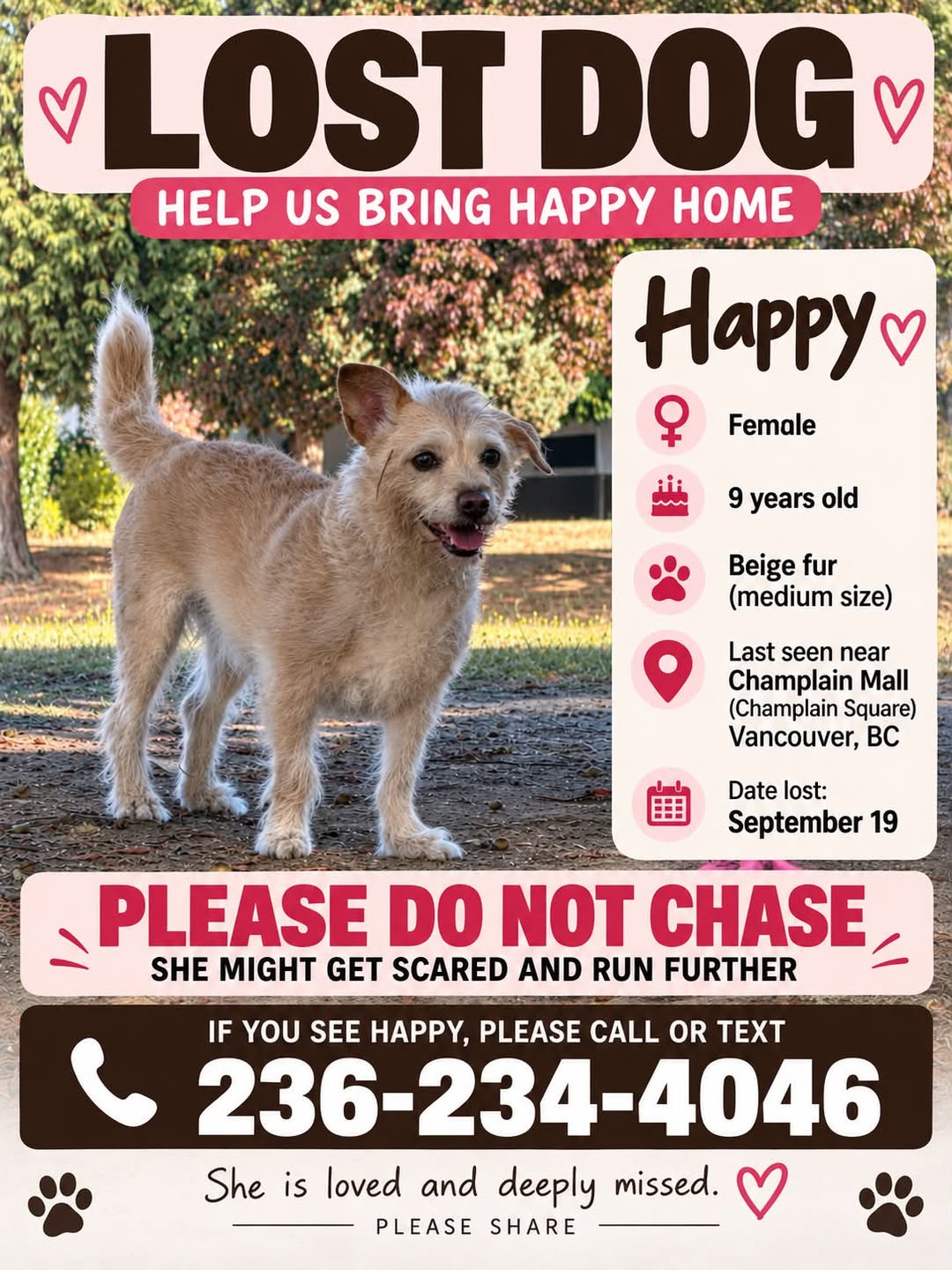 Lost Dog in Champlain Square