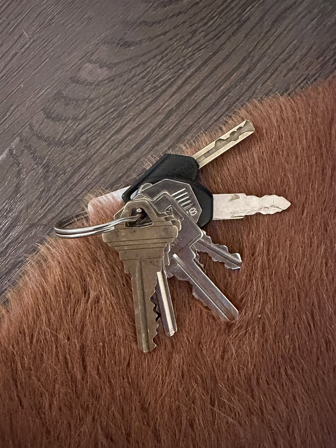 Found keys