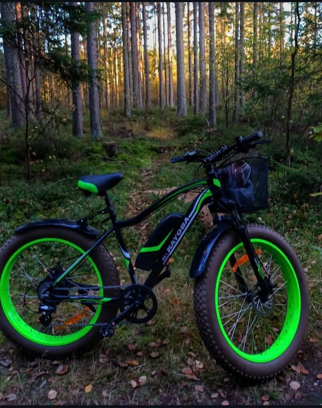 Lost Bike in Fredrikstad