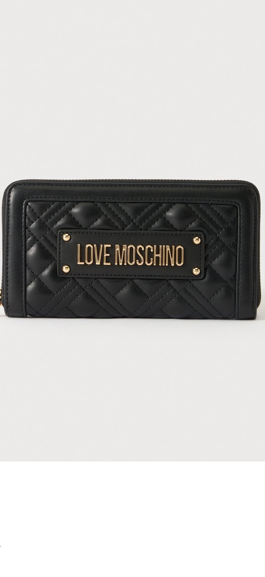 Lost Wallet in Delmenhorst