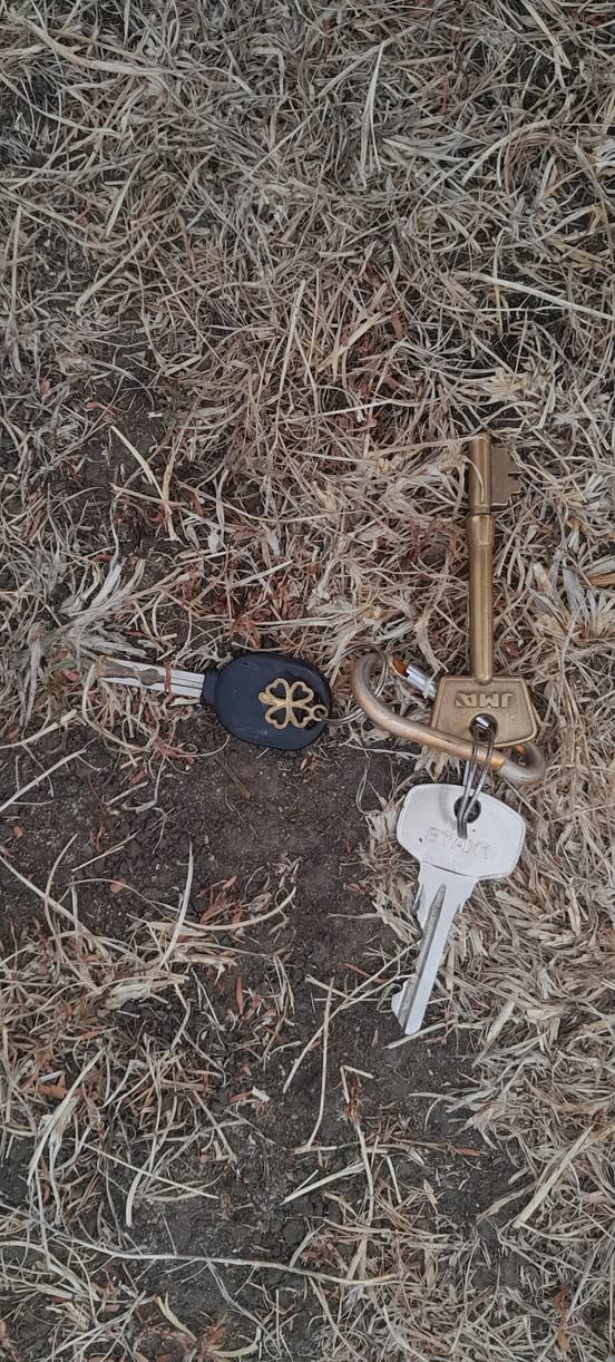 Found keys
