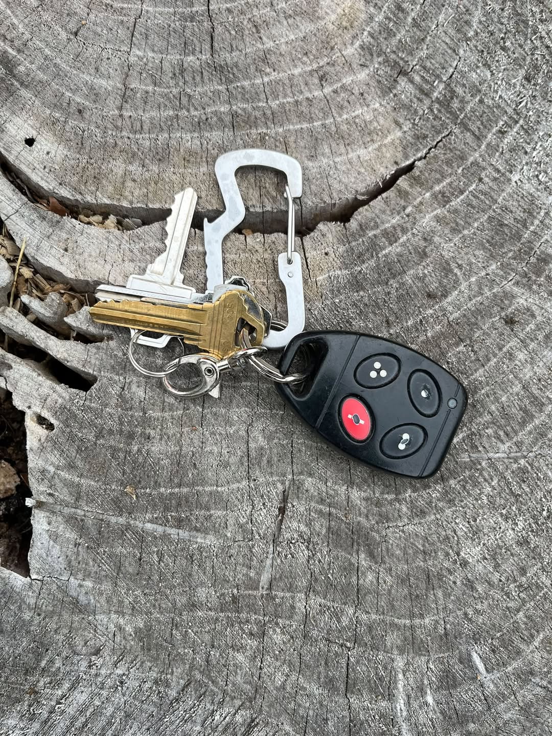 Found keys