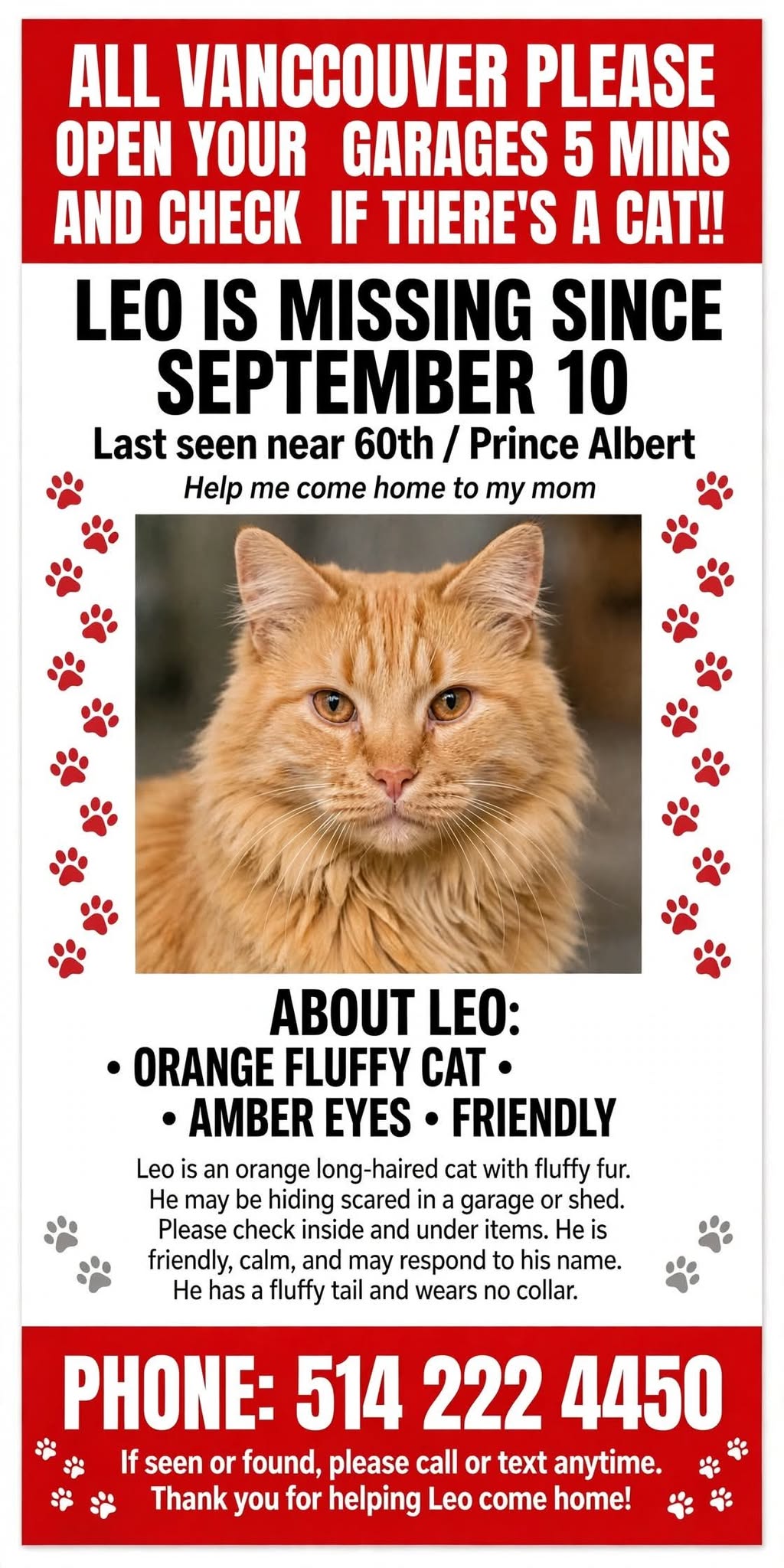 Lost Cat in Vancouver