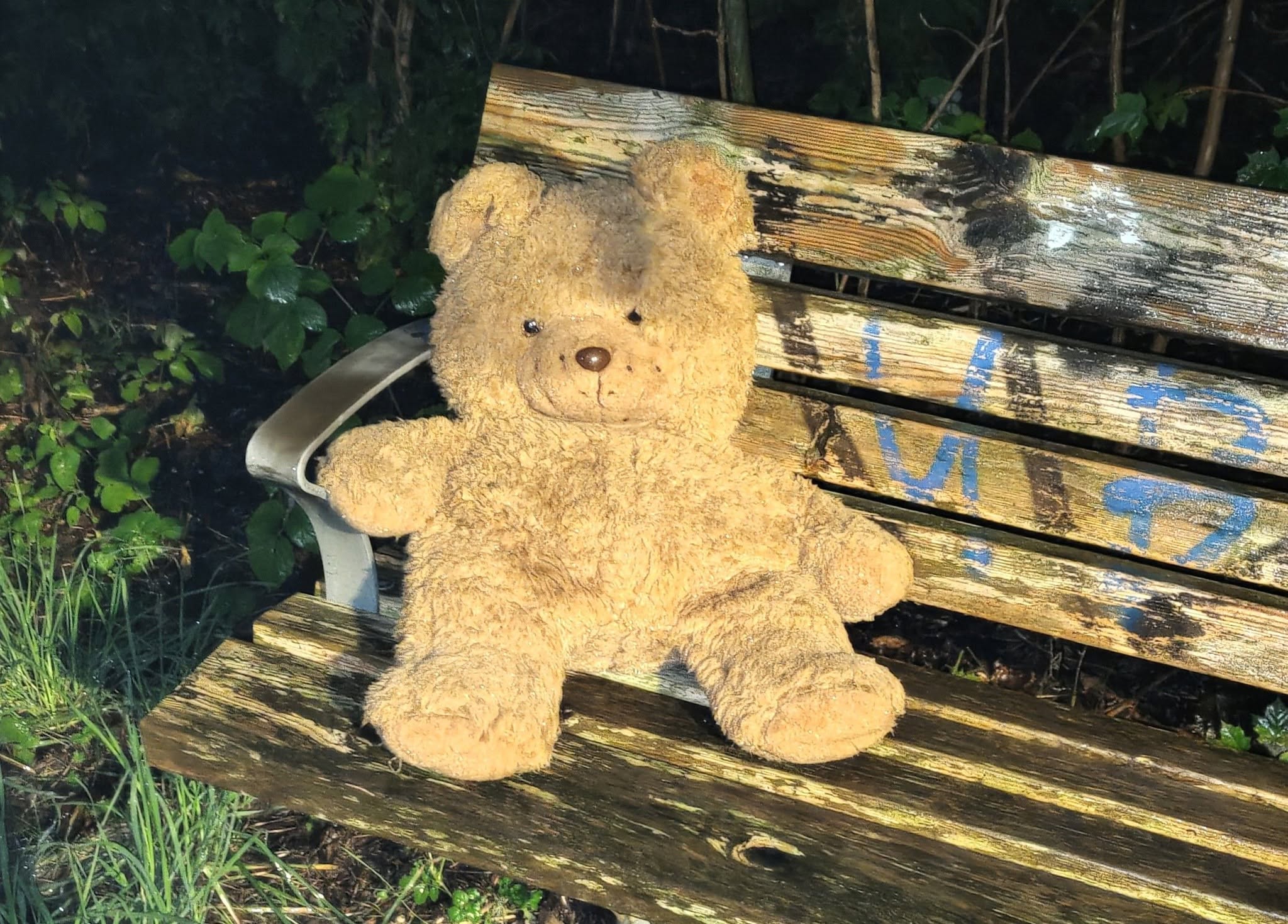 Found teddy bear