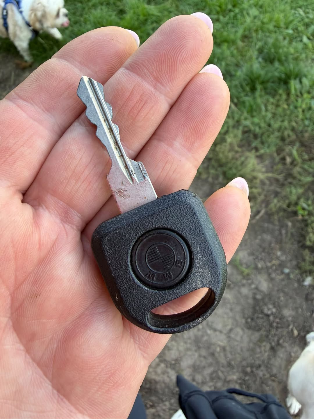 Found keys