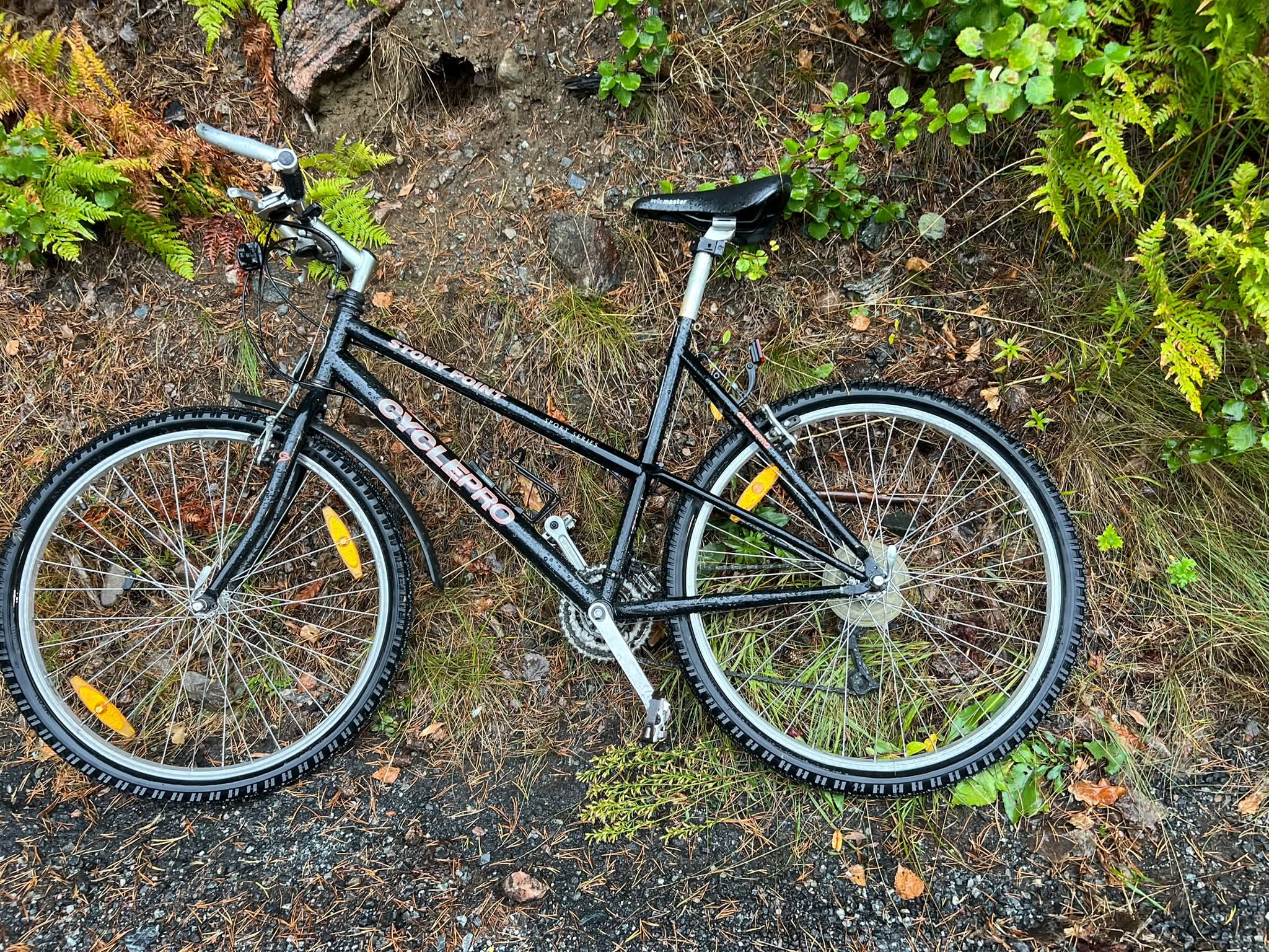 Found bike