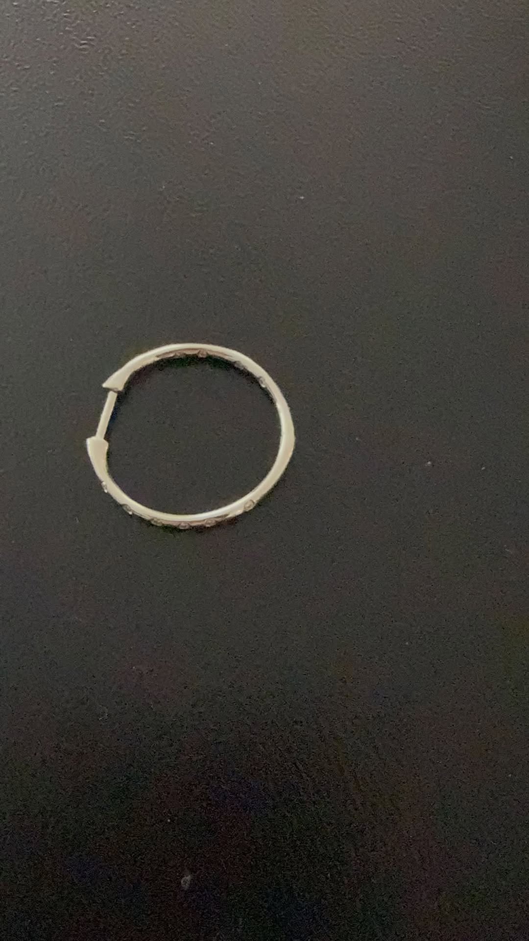 Lost Earring in Munich