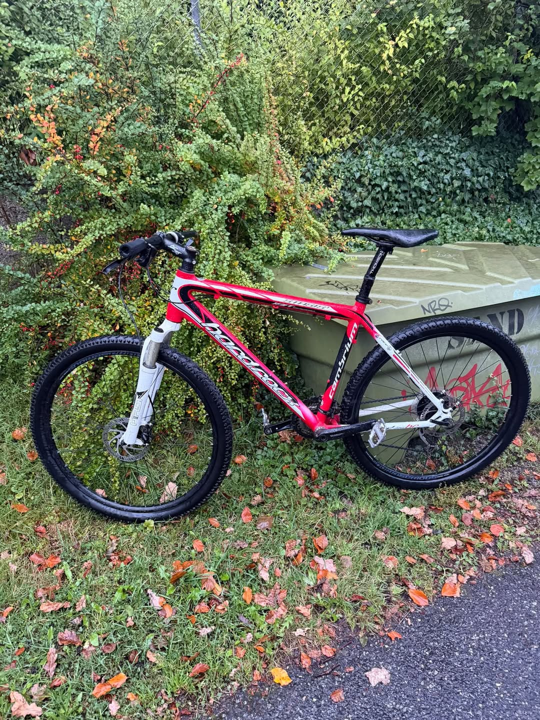 Found bike