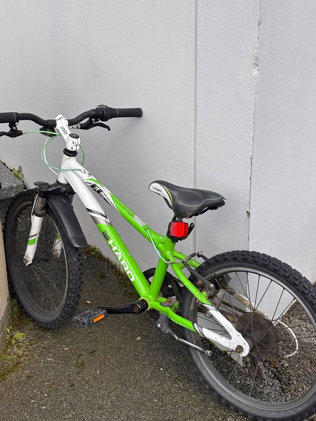 Found bike