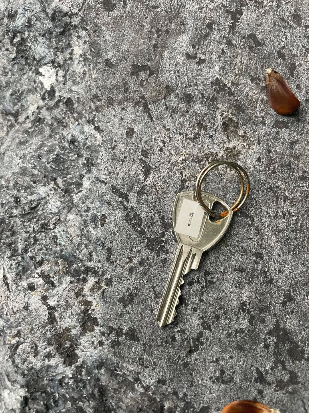 Found keys