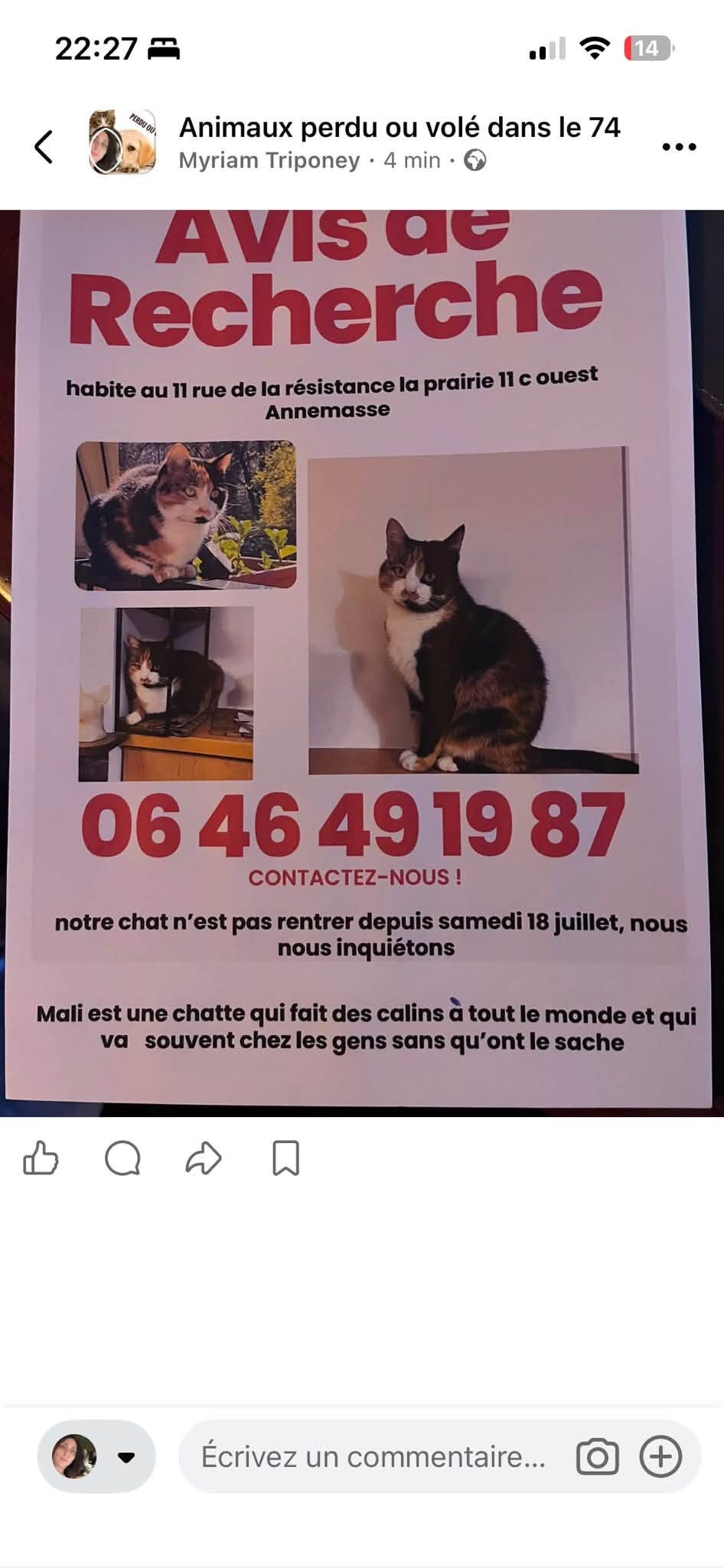 Lost Cat in Annemasse