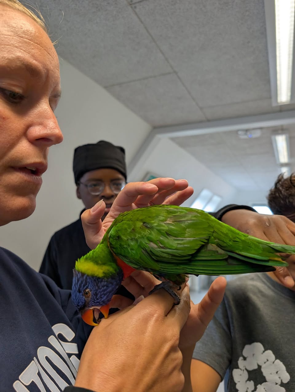 Found bird