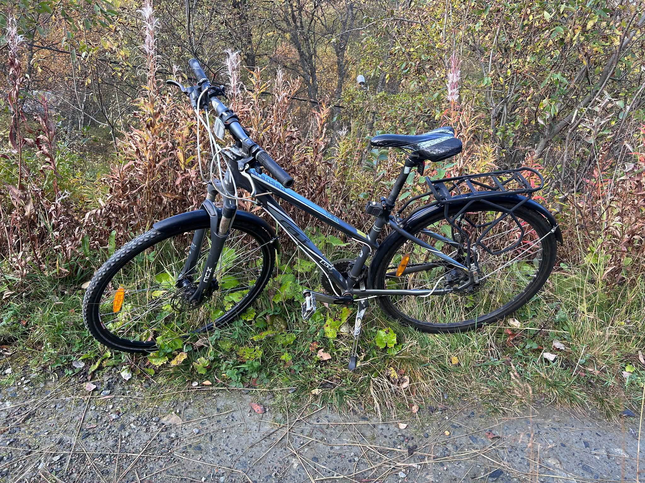 Found bike