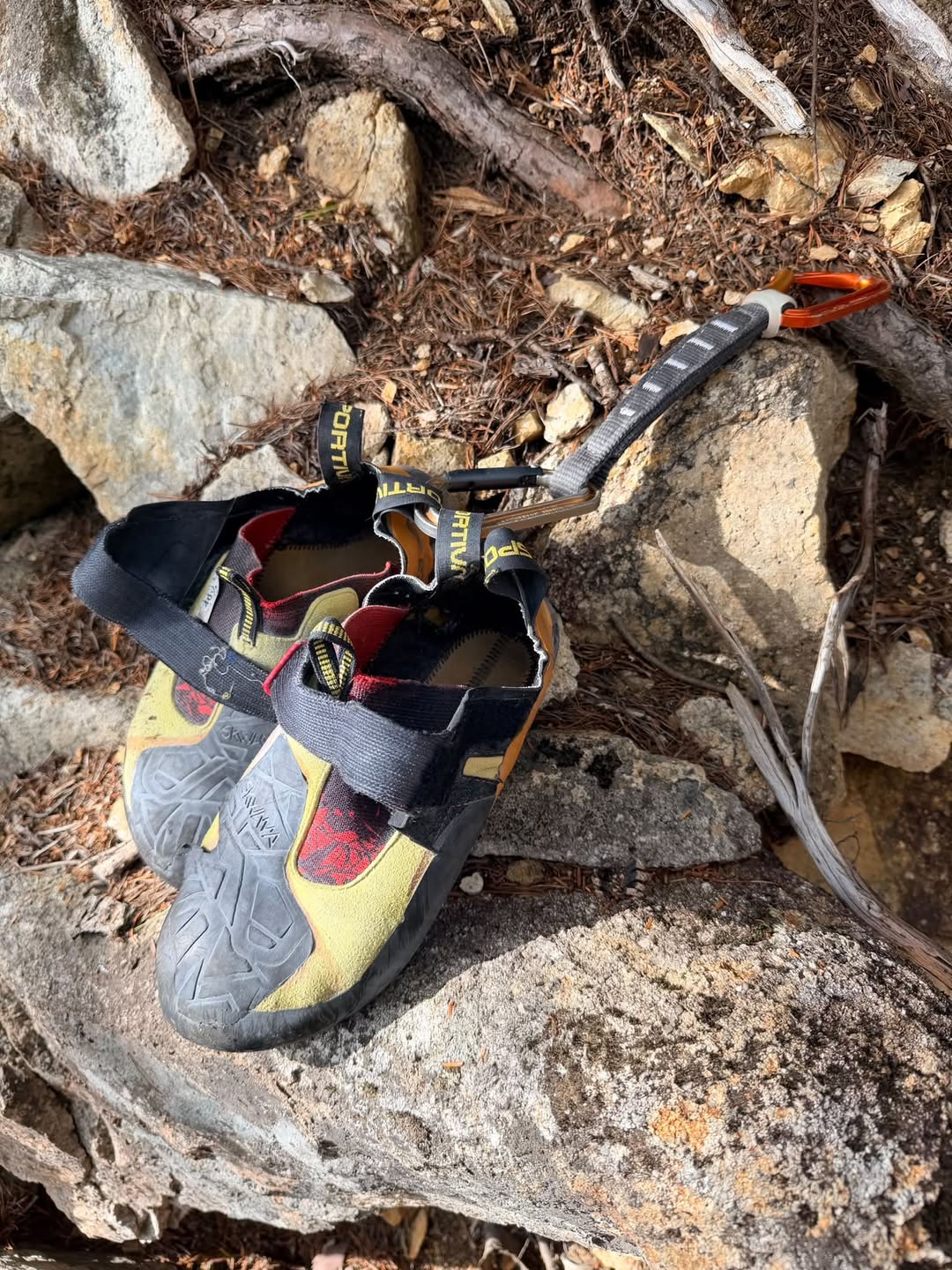 Found shoes