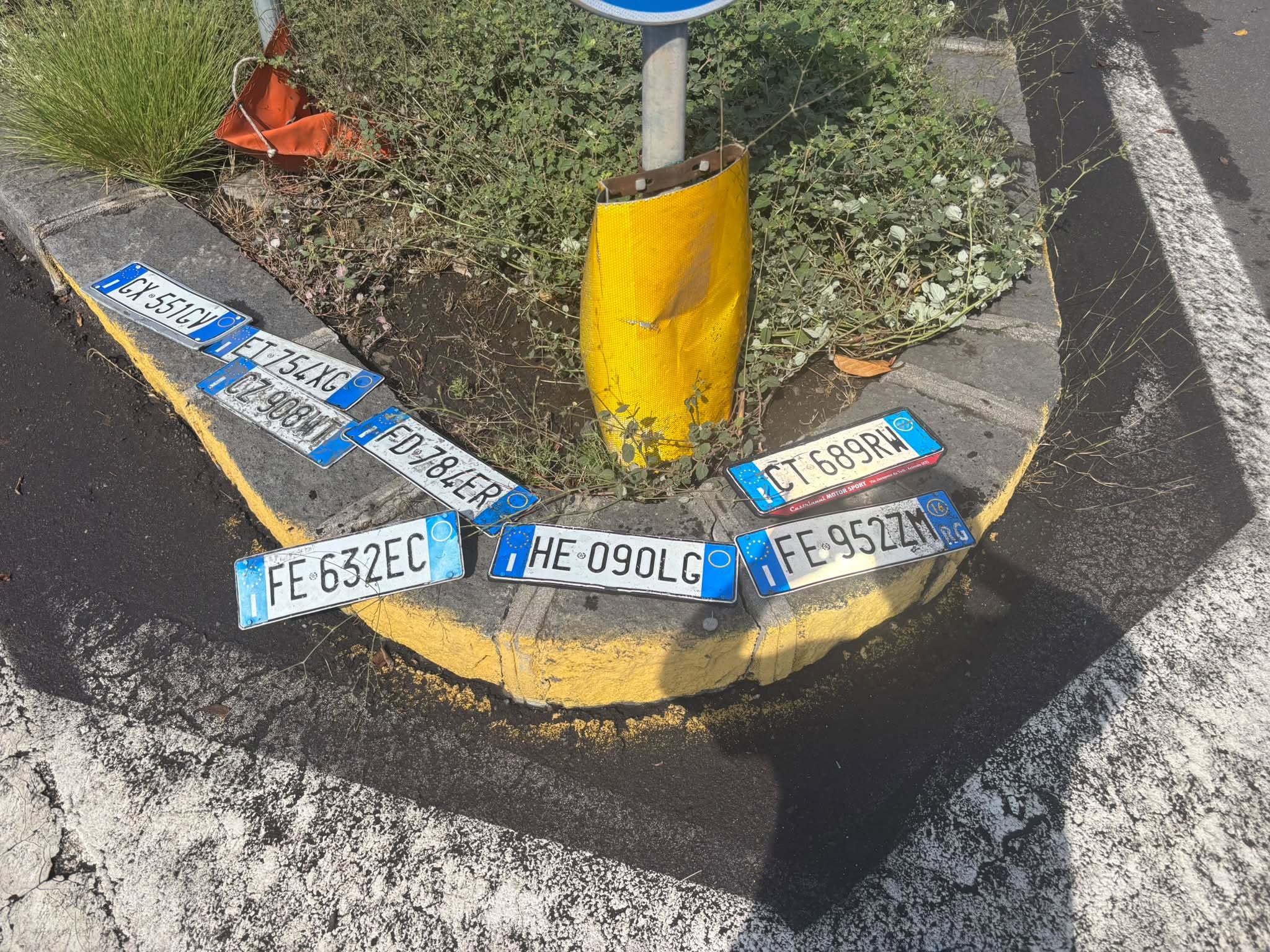 Found license plate