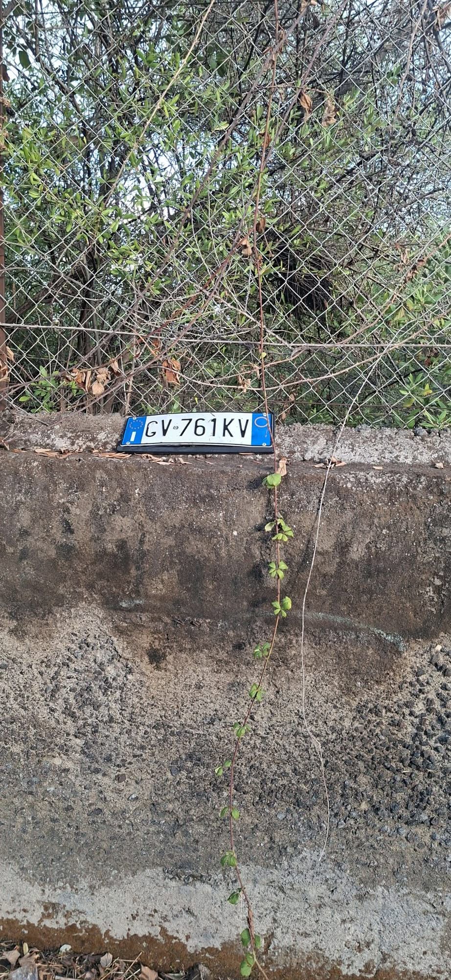 Found license plate