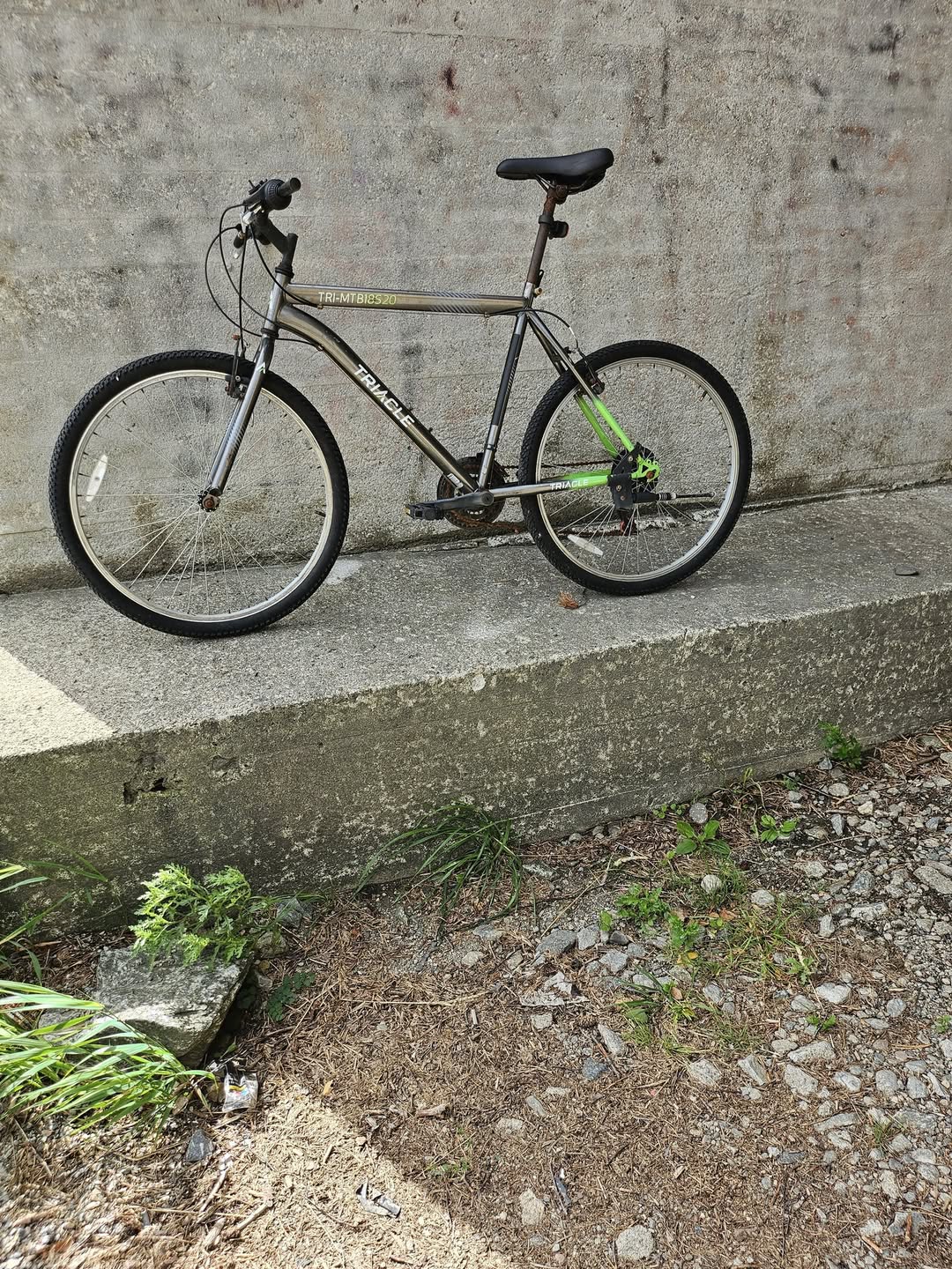 Found Bike in Sarpsborg