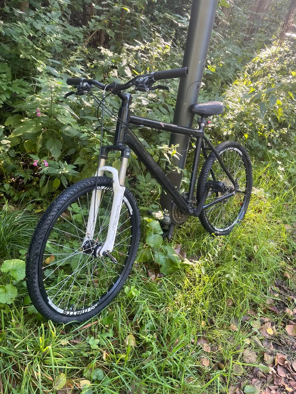 Found bike