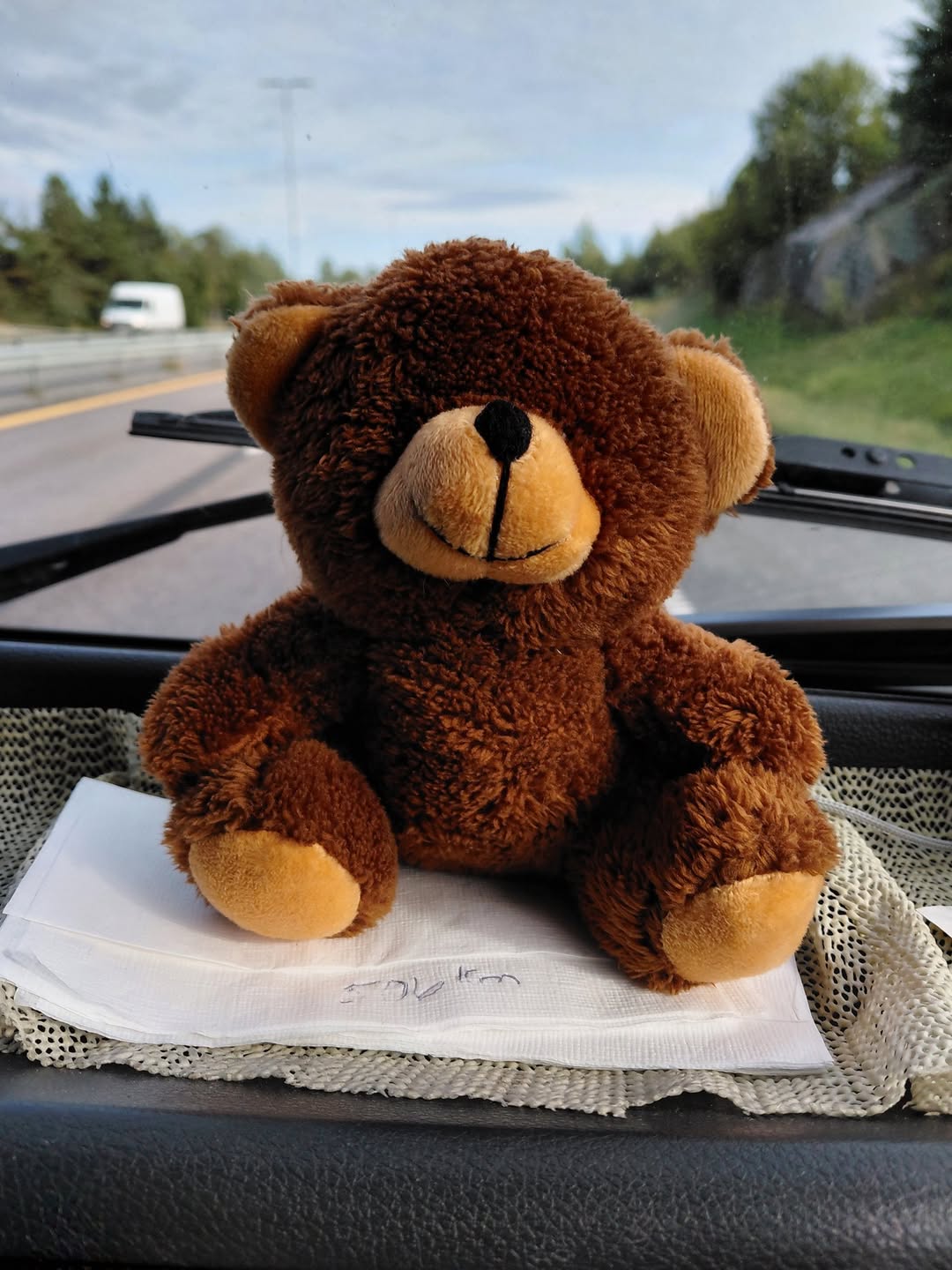 Found toy