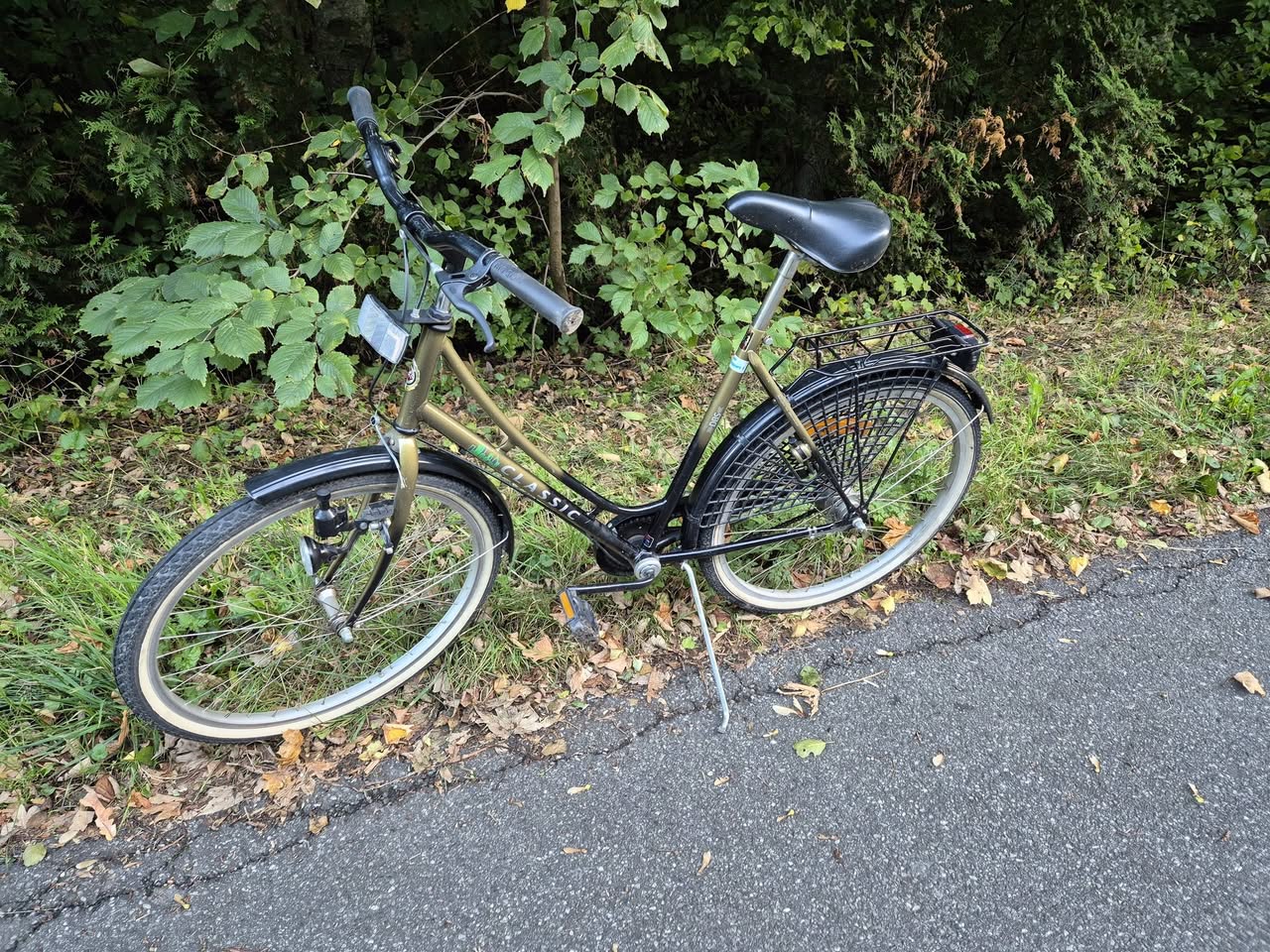 Found bike