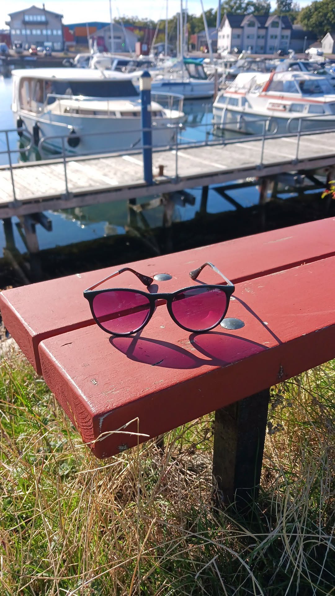 Found sunglasses