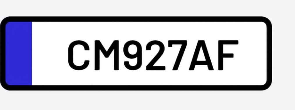 Lost License Plate in Catania