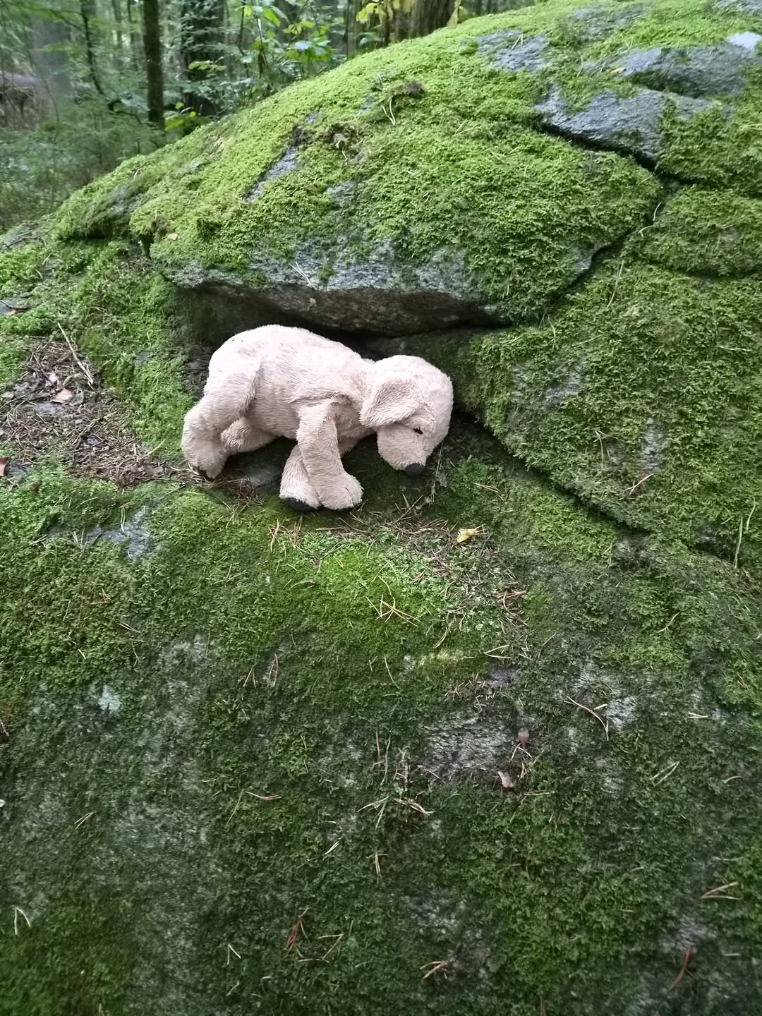 Found Toy in Gothenburg