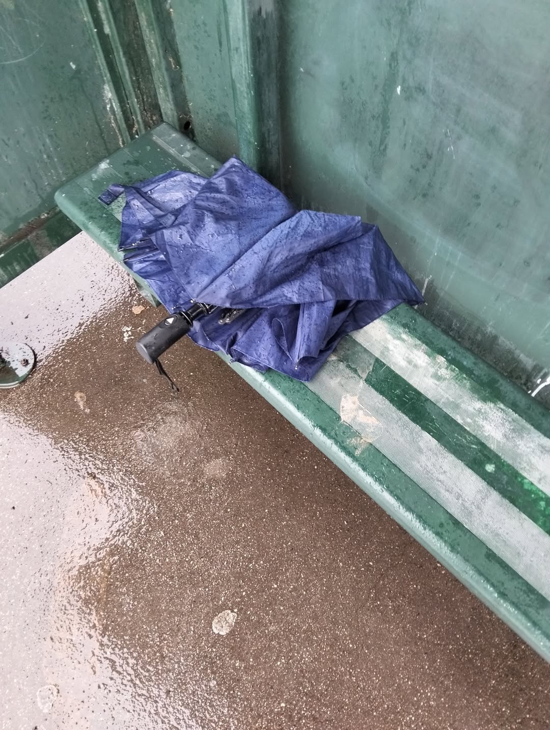Found umbrella