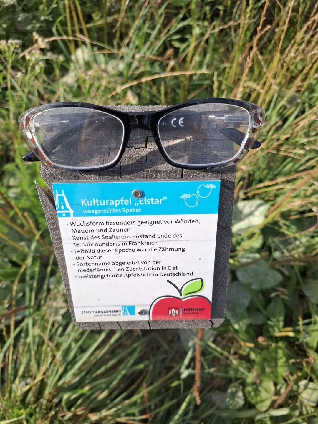Found glasses