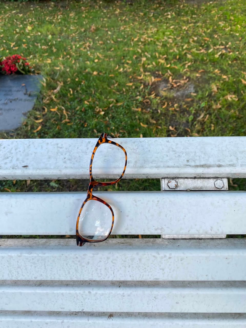Found glasses