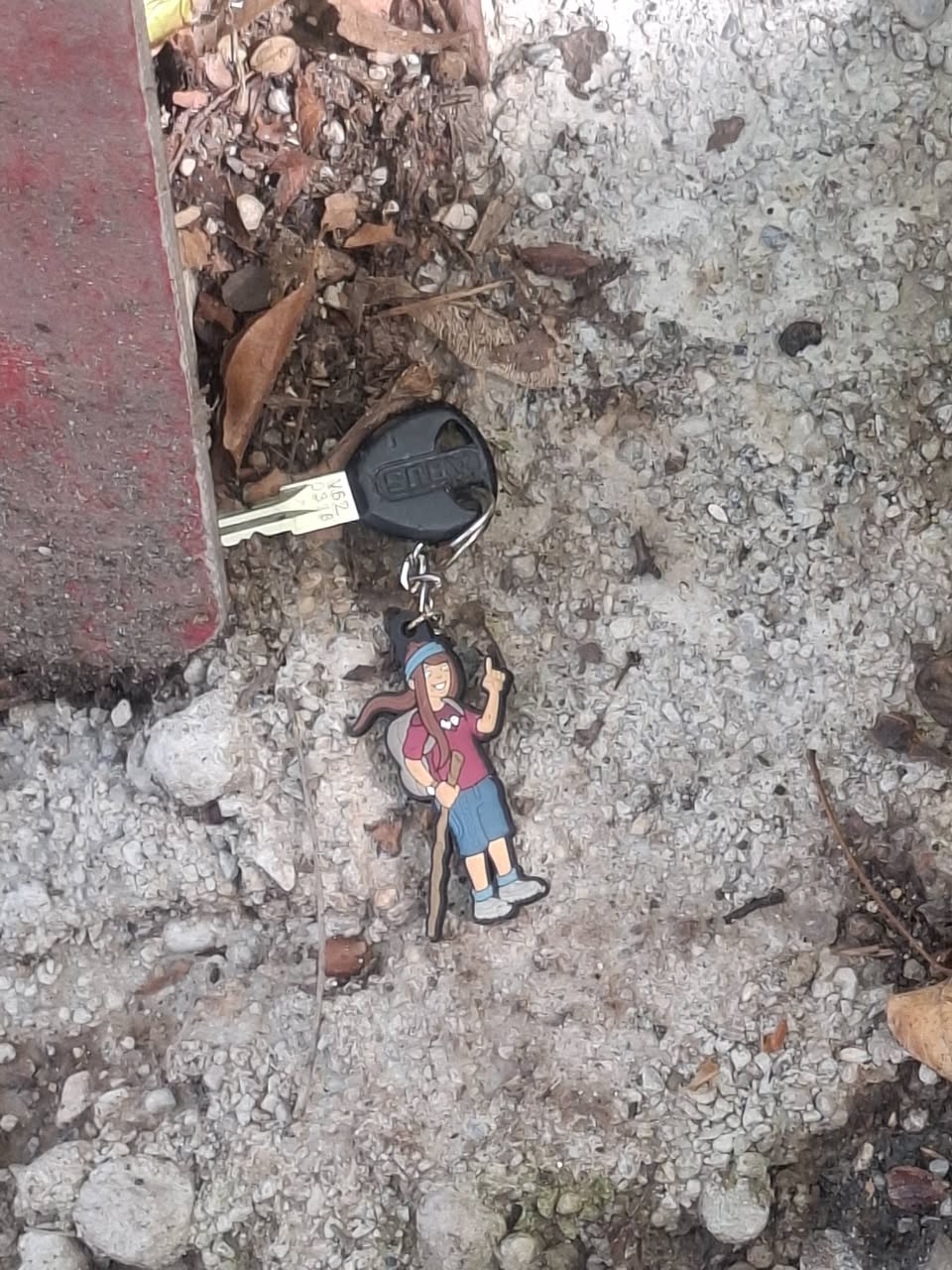 Found keys