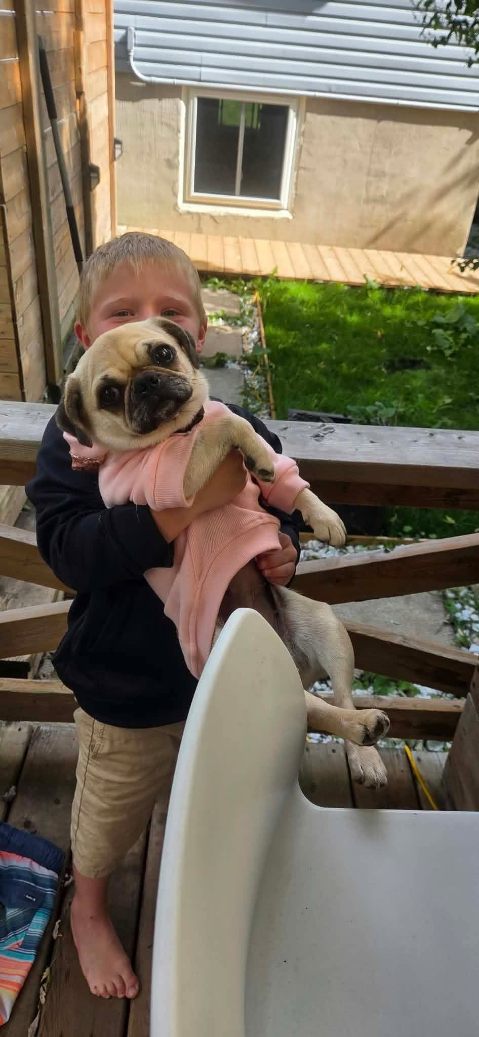 Found Dog in Shallow Lake
