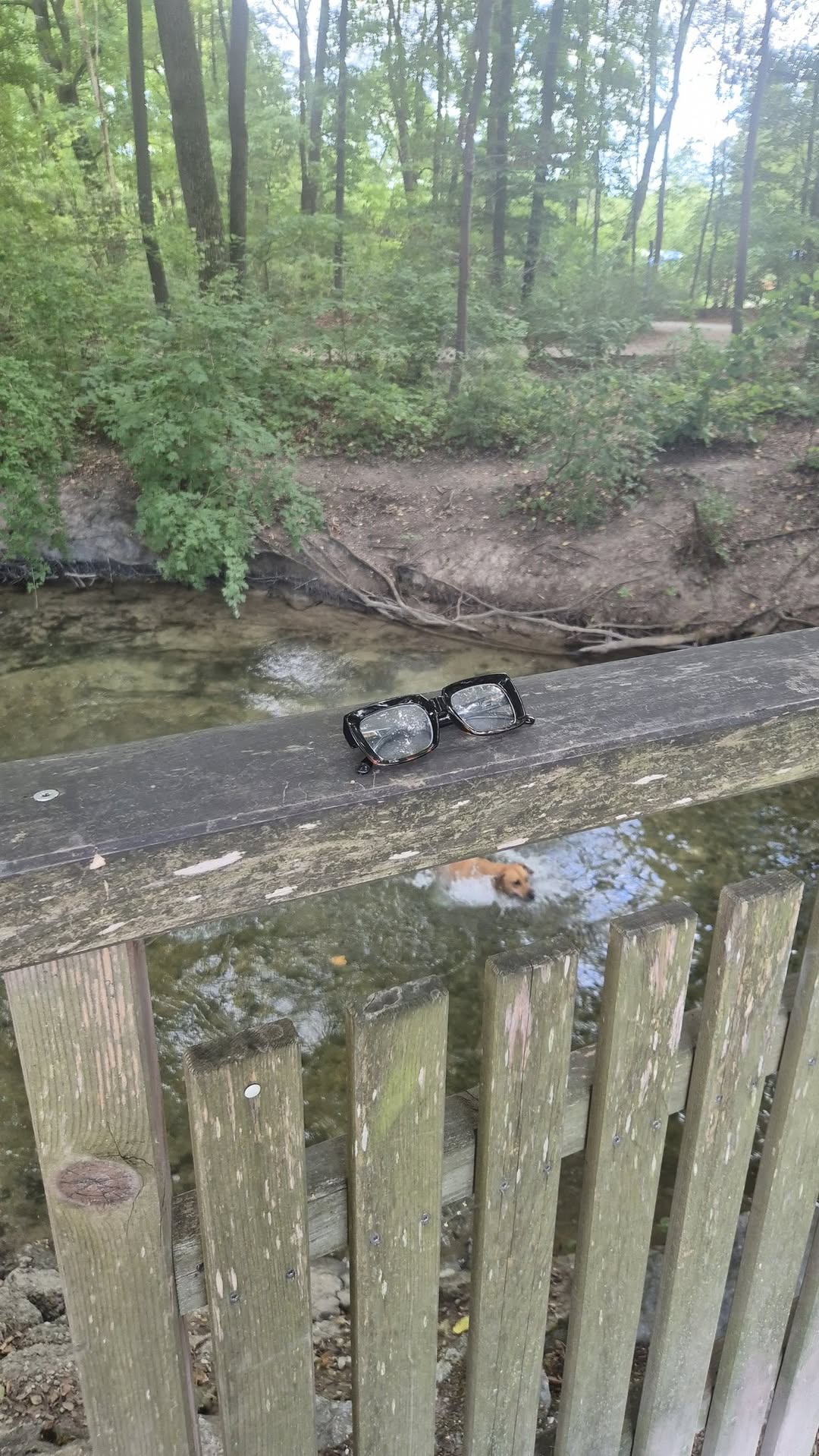 Found glasses