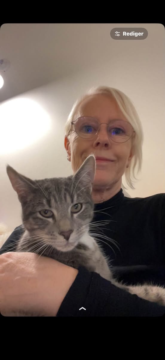 Lost Cat in Denmark