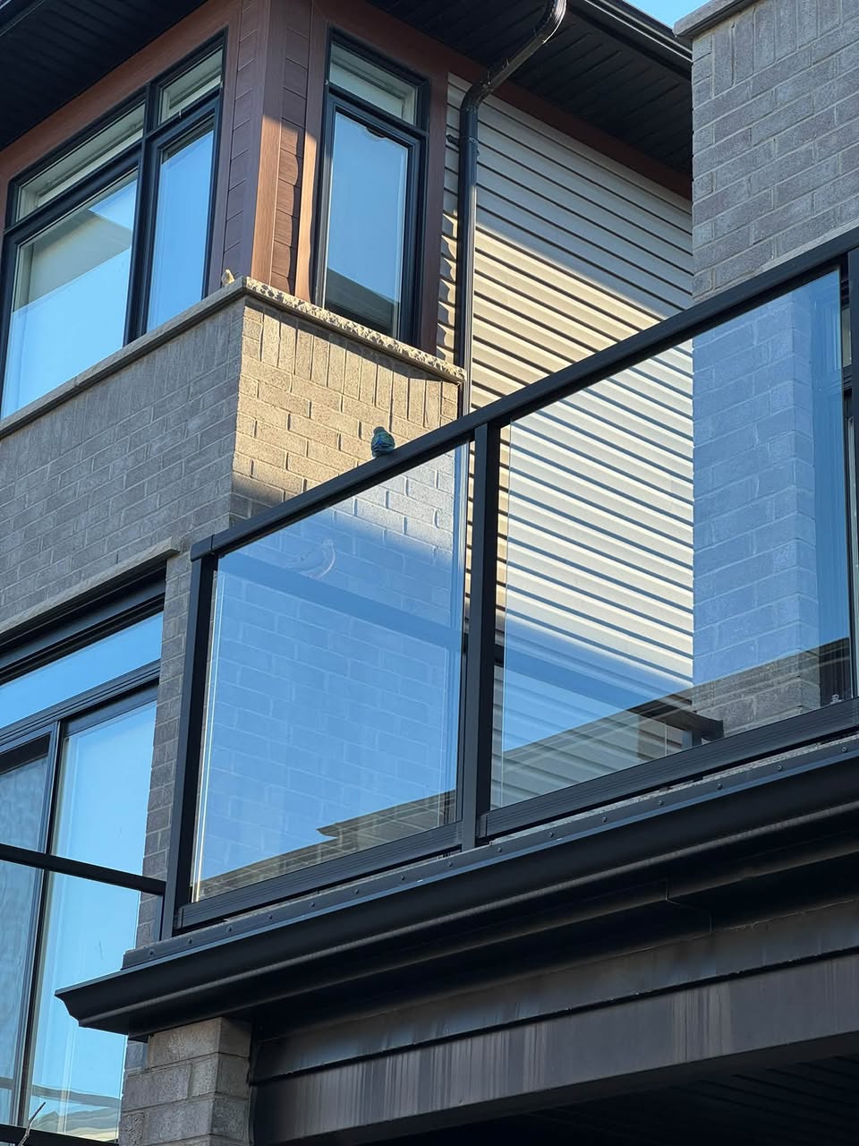 Found bird