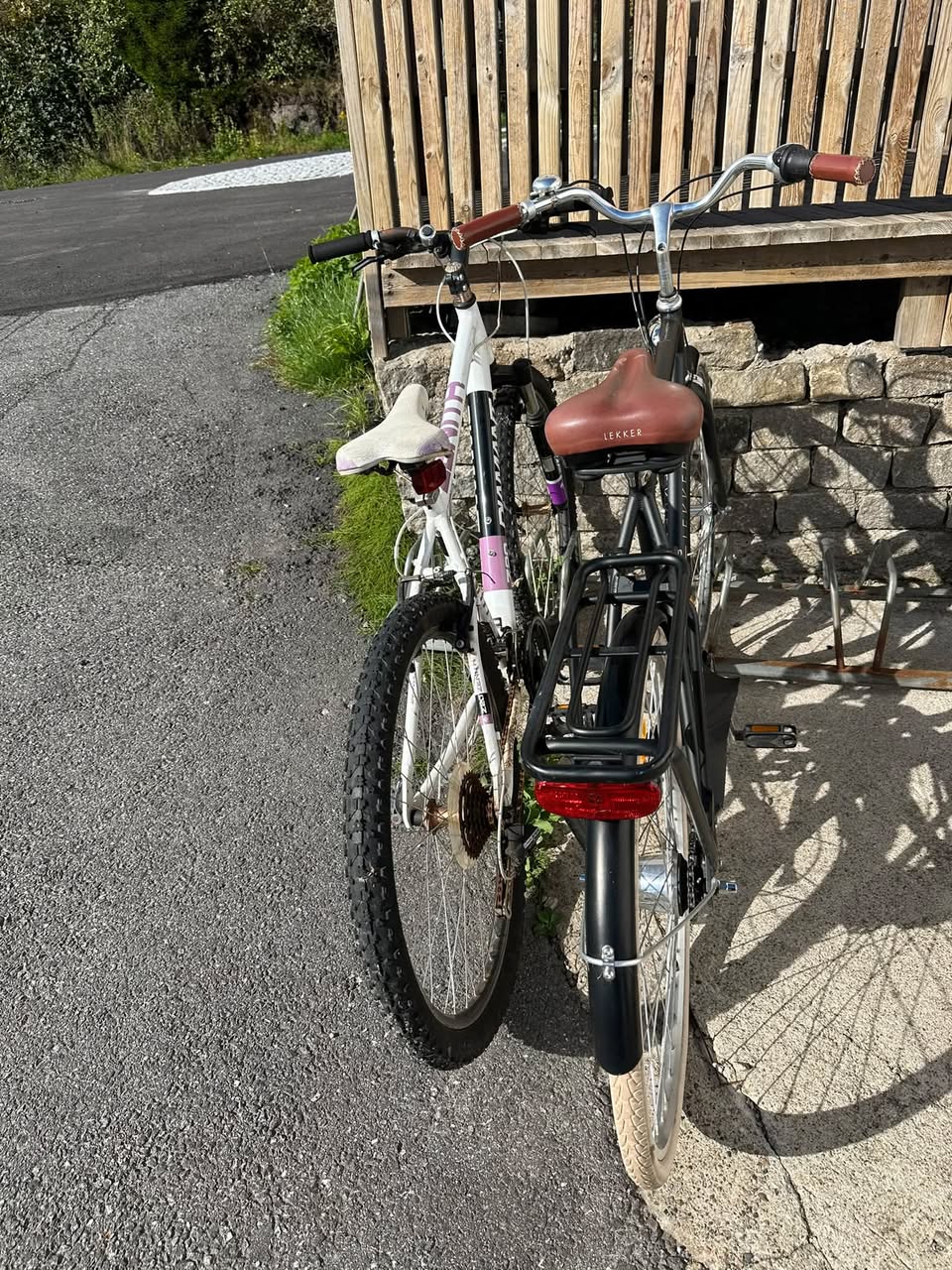 Found bike