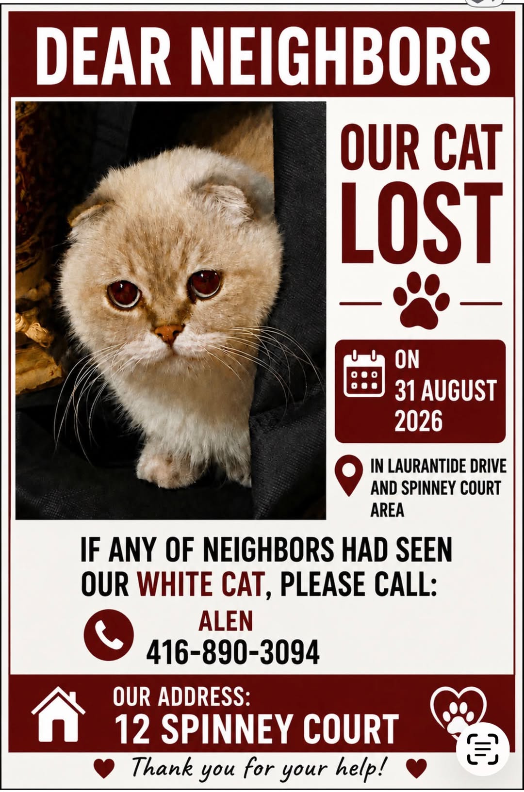 Lost Cat in Toronto