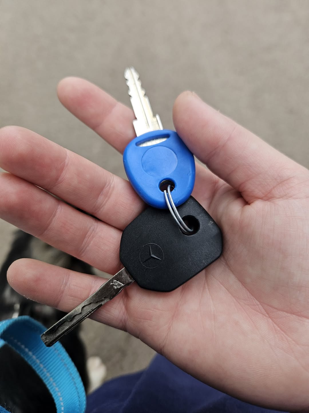 Found keys