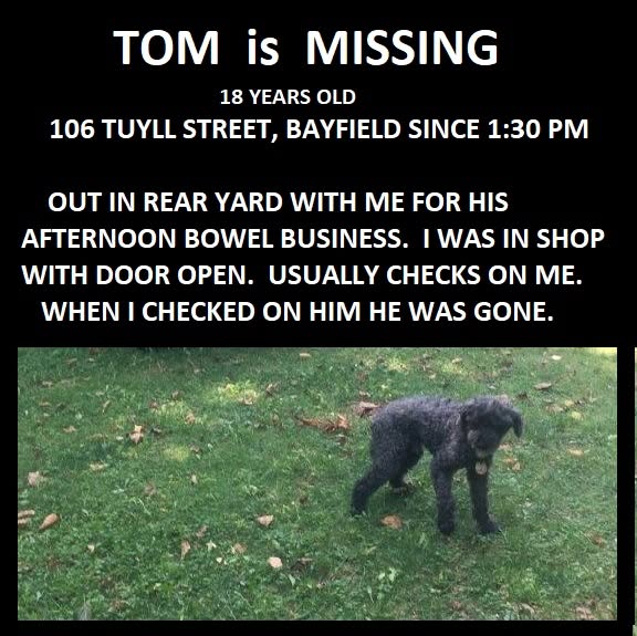 Lost Dog in Bayfield