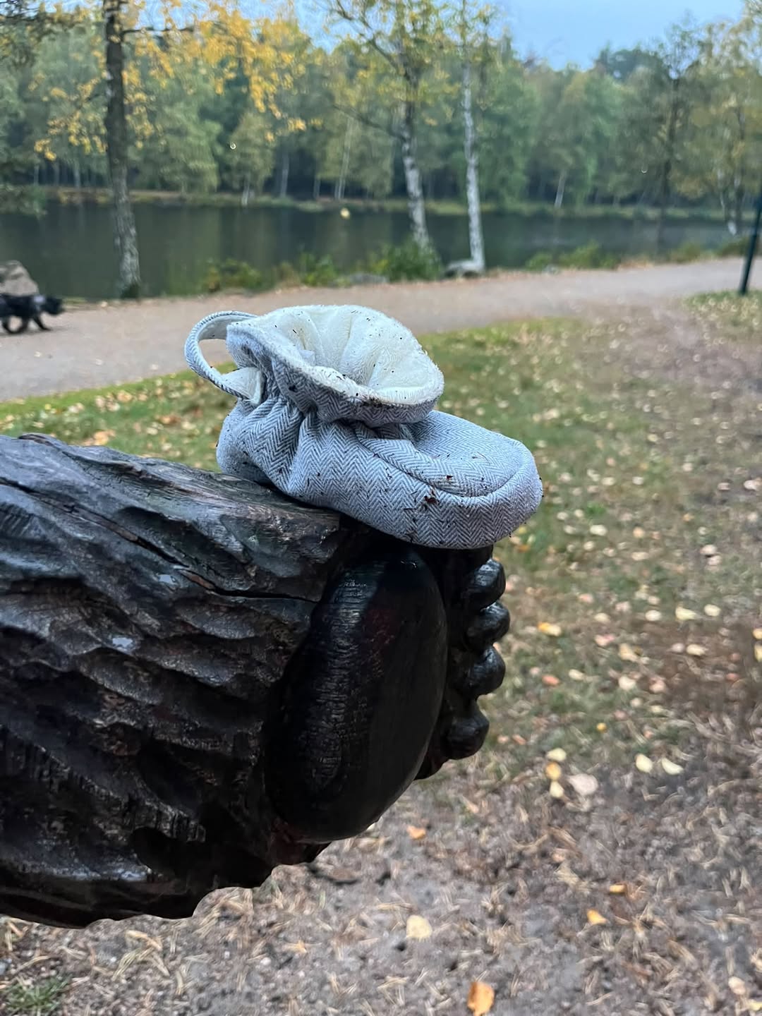 Found shoes